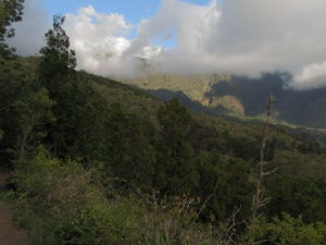 201301171729-.jpg
