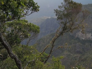 201301171805-.jpg