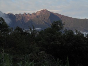 201301191840-.jpg