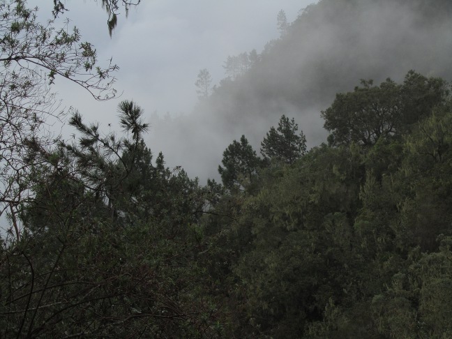 201302051842-.jpg