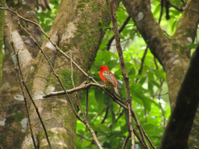 201302171448a-.jpg