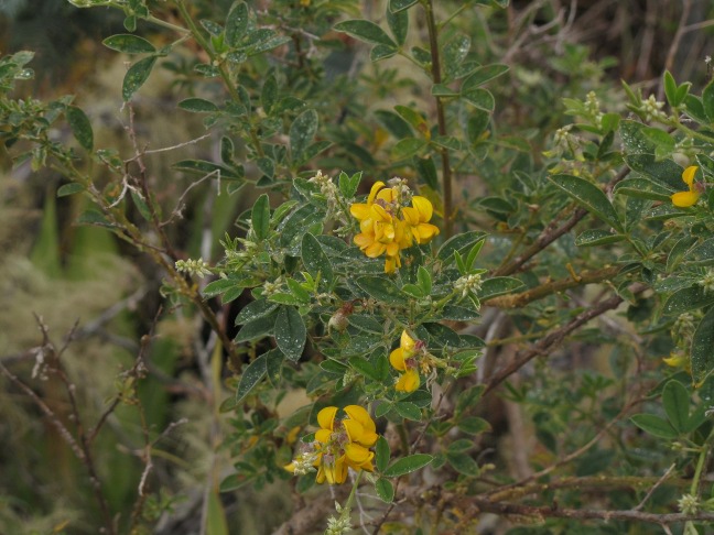 201302221044-arbre-.jpg