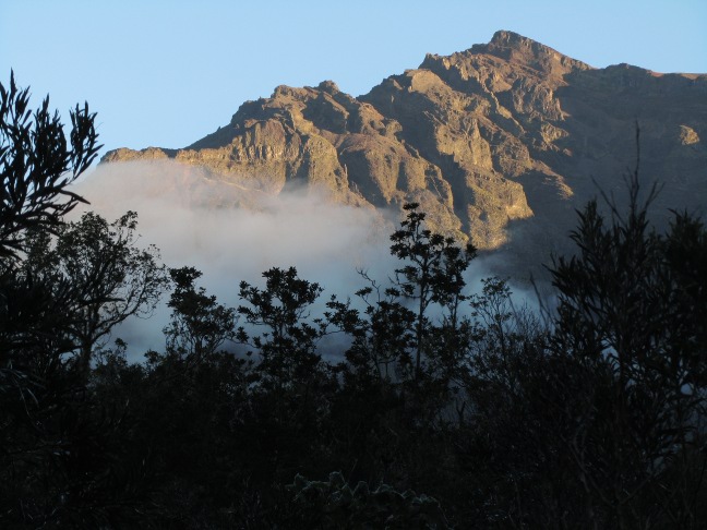 201302260636-.jpg