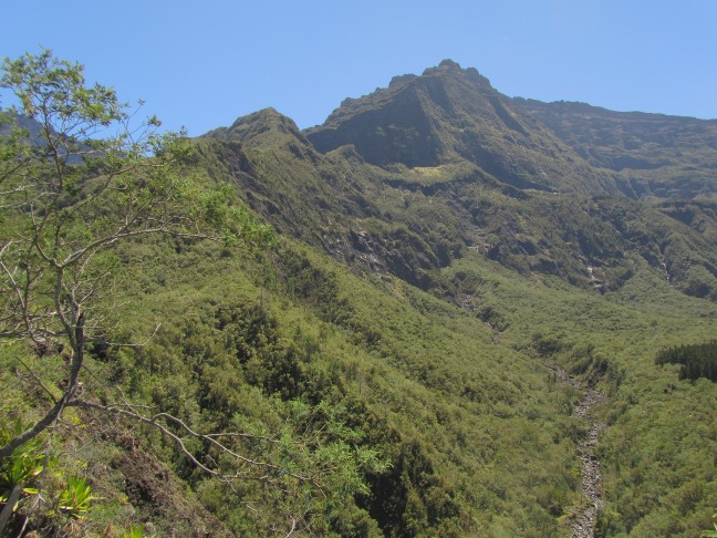 201303041137-.jpg