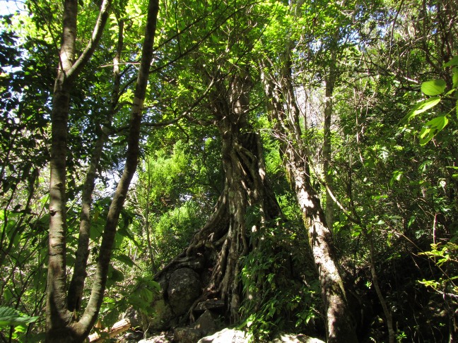 201303061058-.jpg