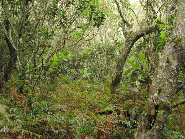 201303091328-.jpg
