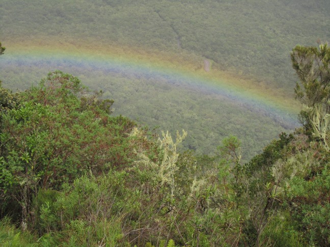 201303091342b-.jpg