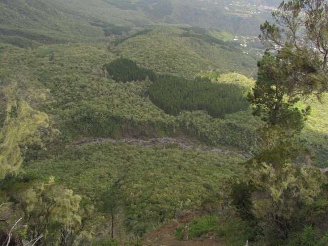 201303141206-.jpg