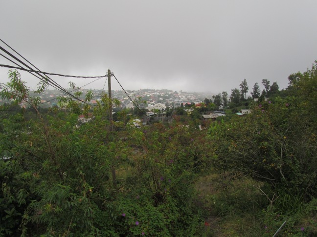 201303141225-.jpg