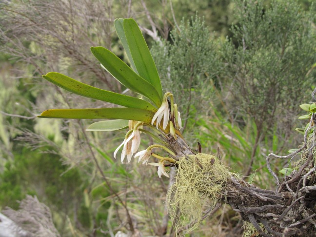201303151254-.jpg