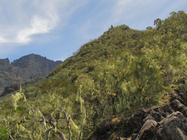 20130316111248-.jpg