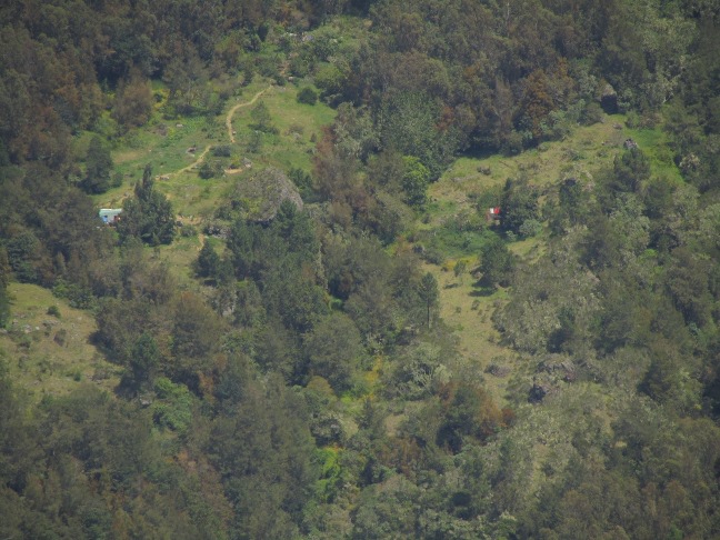 20130316114006-.jpg