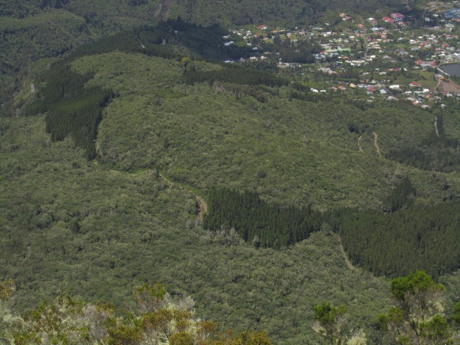 20130316120334-.jpg