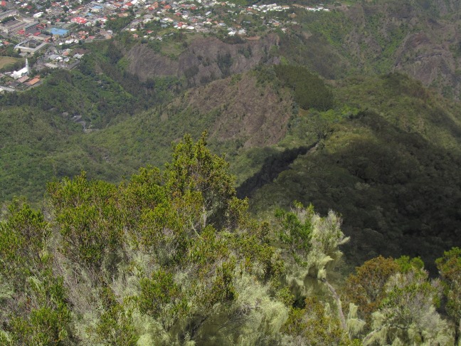 20130316120345-.jpg