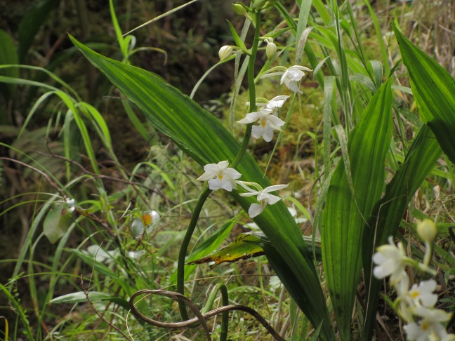 20130316125717-.jpg