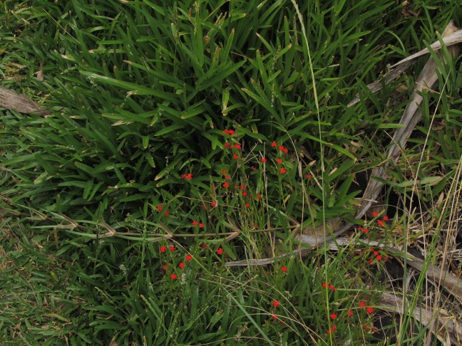 201303191137-.jpg