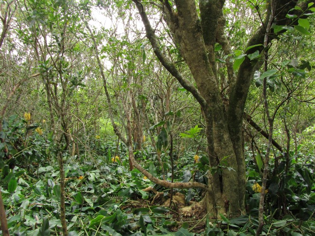 201303241252-.jpg