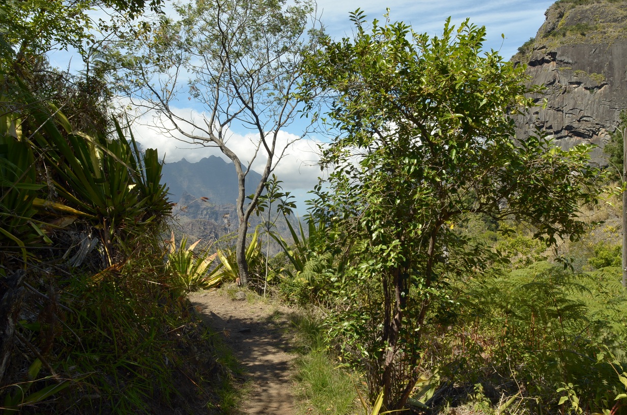 201310081016-.jpg