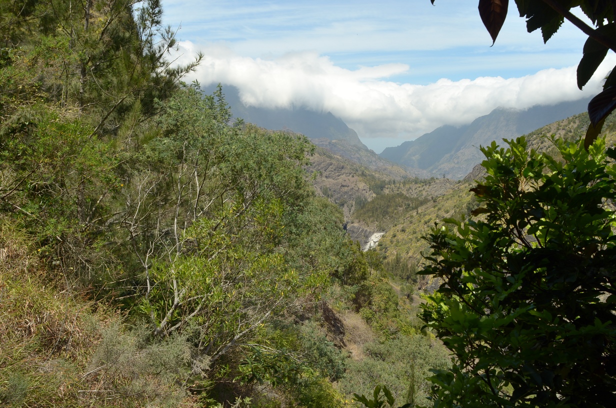 201310081138-.jpg