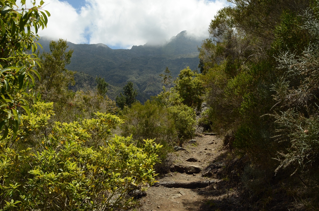 201310081149-.jpg